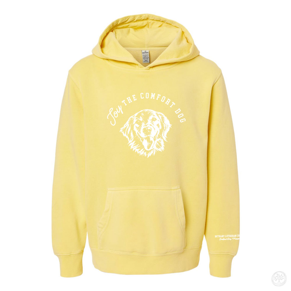 Joy Logo YOUTH Independent Trading Co. Hooded Sweatshirt